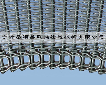 柳州冷冻传送式螺旋网带