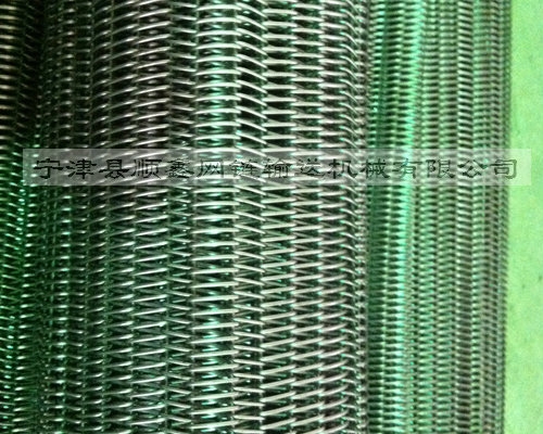 柳州高温不锈钢直轴型网带
