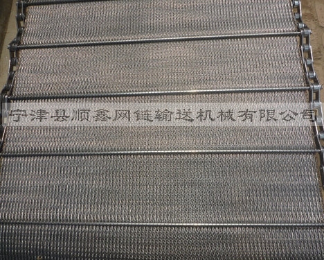 柳州人字型链条网带