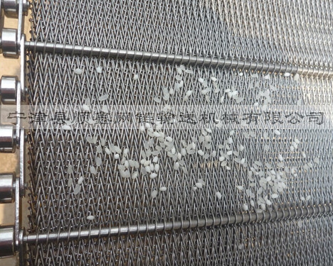 柳州大米清洗网带